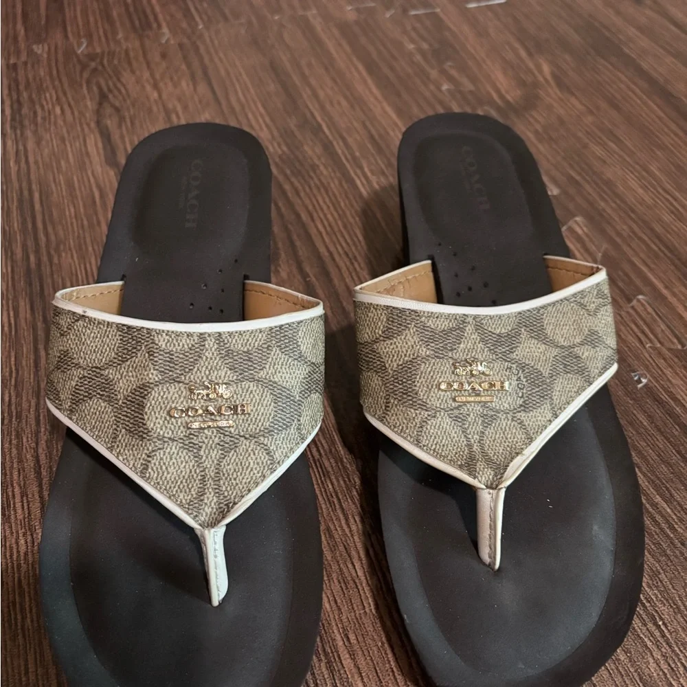 Coach Signature Canvas Thong Sandals in Brown and Black